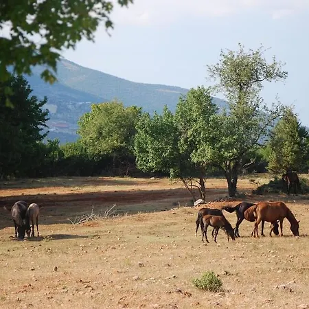 ενοικιαζόμενη παραδοσιακή σαν παραμύθι *