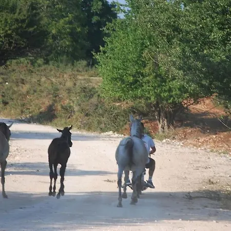 ενοικιαζόμενη παραδοσιακή σαν παραμύθι * Volakas