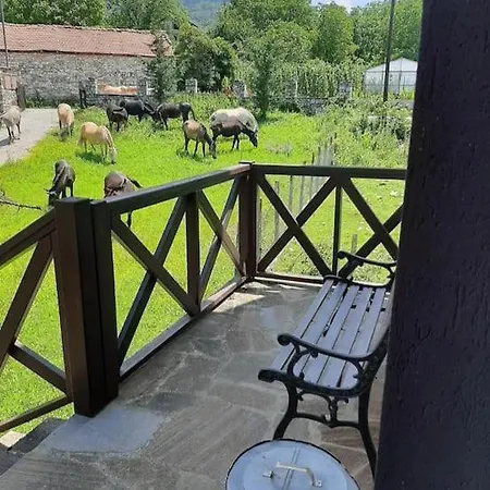 ενοικιαζόμενη παραδοσιακή σαν παραμύθι Volakas