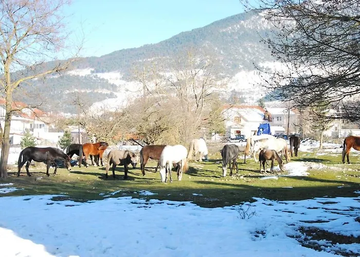 ενοικιαζόμενη παραδοσιακή σαν παραμύθι Apartamento *