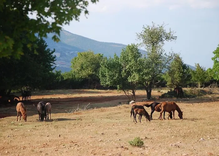 ενοικιαζόμενη παραδοσιακή σαν παραμύθι *