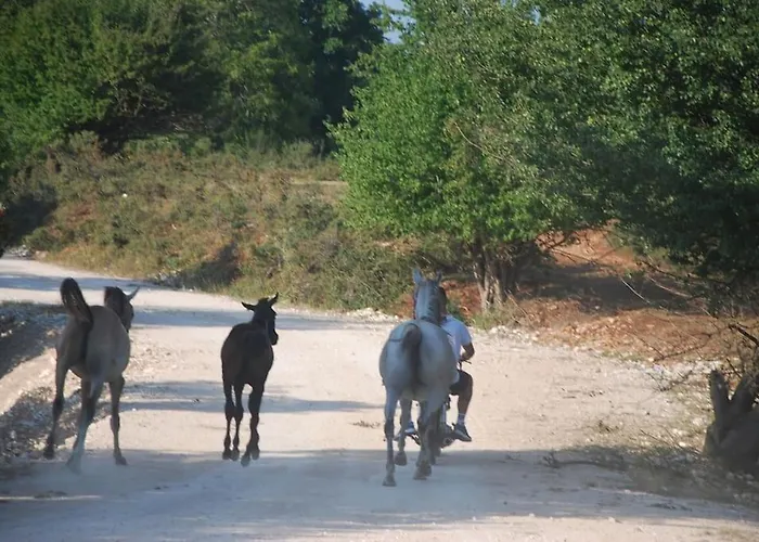 ενοικιαζόμενη παραδοσιακή σαν παραμύθι * Volakas